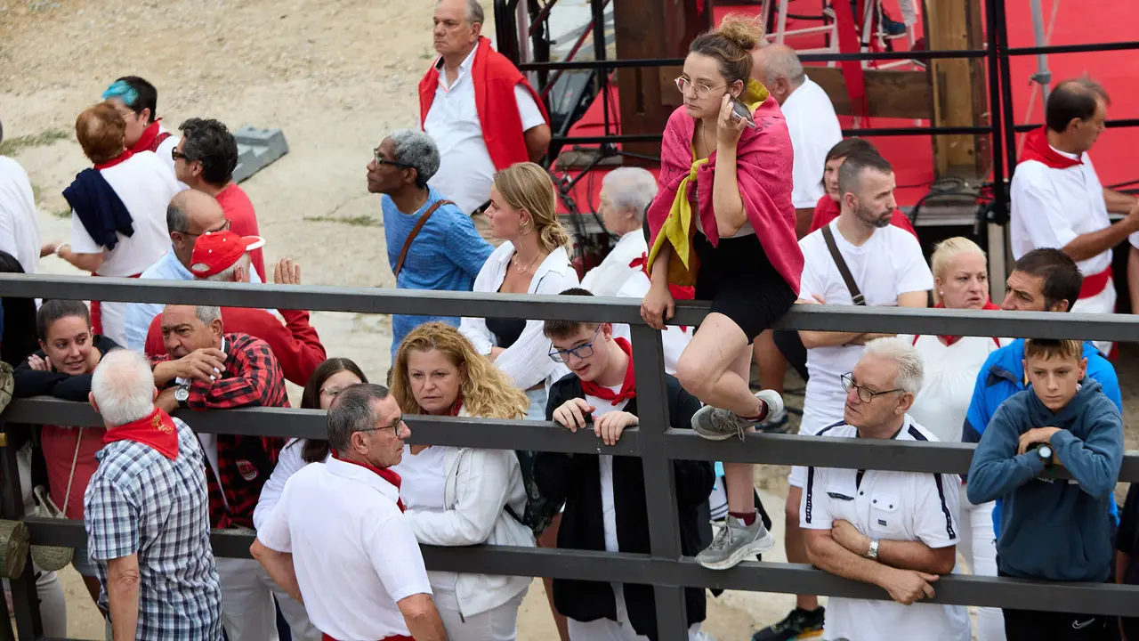 Tercer encierro del Pilón en las fiestas de Falces de 2025 con vacas de la ganadería de Teodoro Vergara de Falces. IÑIGO ALZUGARAY