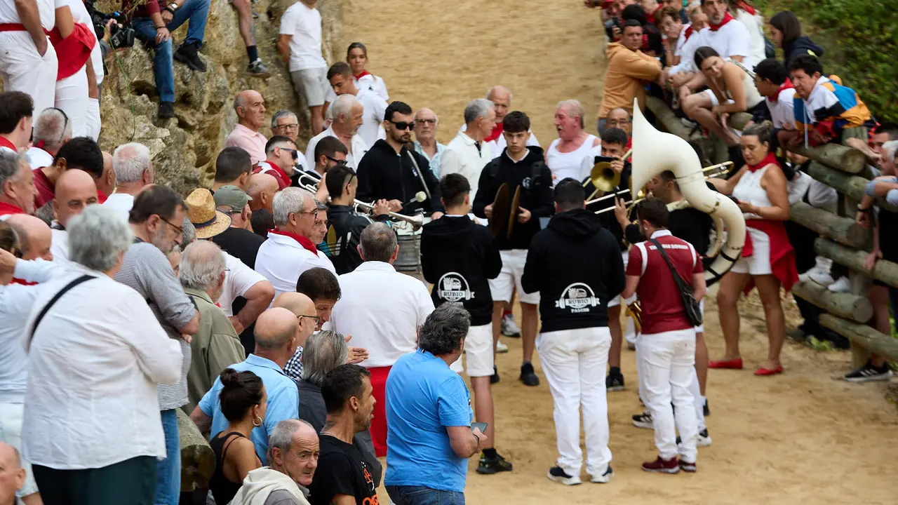Tercer encierro del Pilón en las fiestas de Falces de 2025 con vacas de la ganadería de Teodoro Vergara de Falces. IÑIGO ALZUGARAY