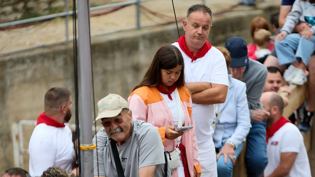 Tercer encierro del Pilón en las fiestas de Falces de 2025 con vacas de la ganadería de Teodoro Vergara de Falces. IÑIGO ALZUGARAY