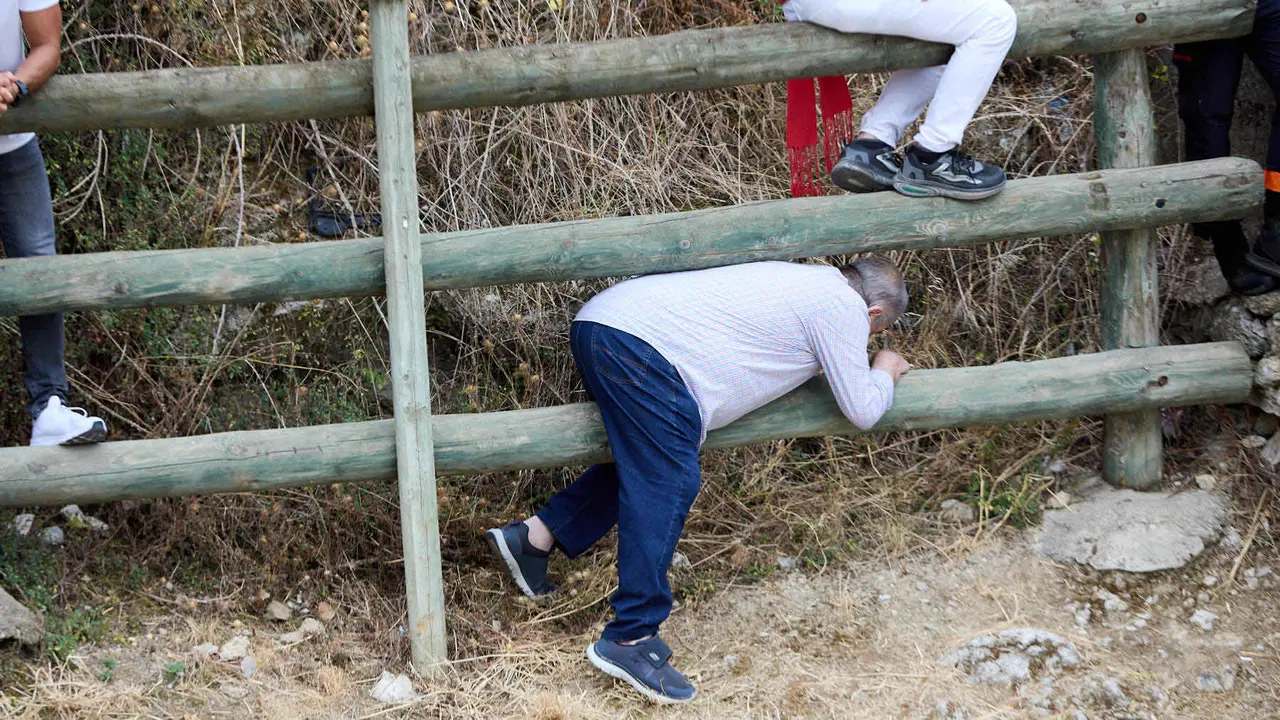 Tercer encierro del Pilón en las fiestas de Falces de 2025 con vacas de la ganadería de Teodoro Vergara de Falces. IÑIGO ALZUGARAY