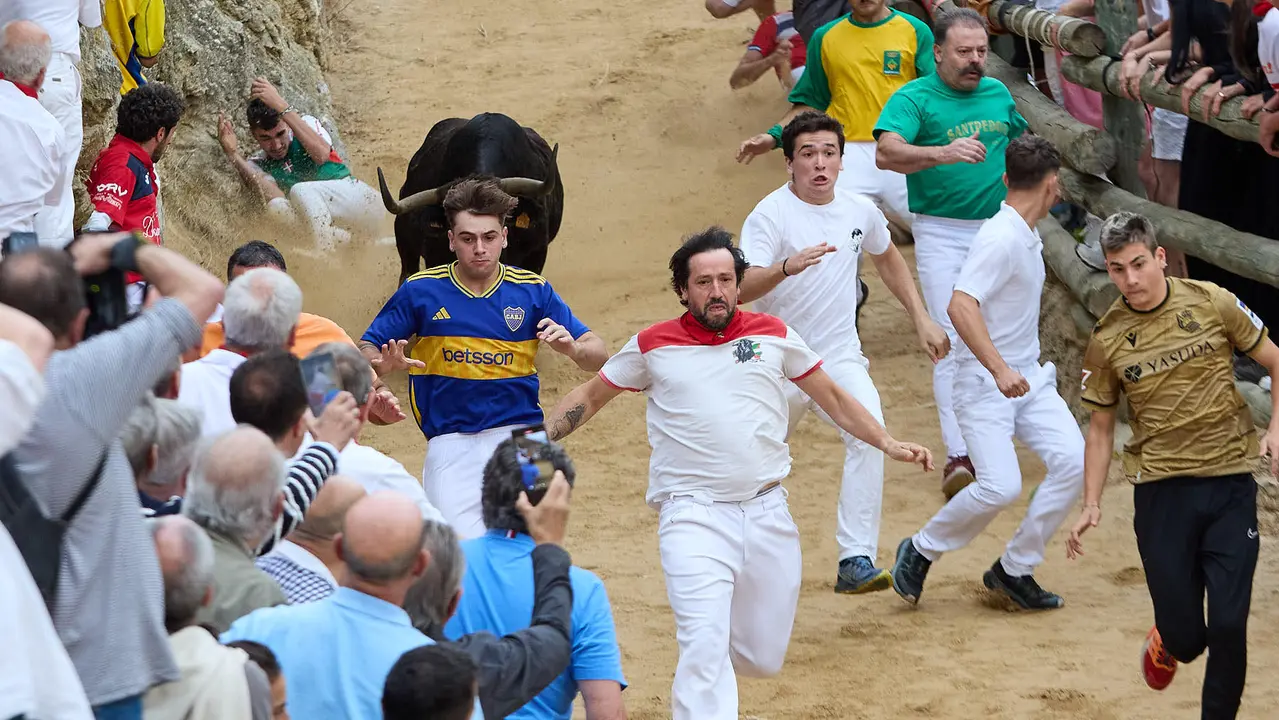 Tercer encierro del Pilón en las fiestas de Falces de 2025 con vacas de la ganadería de Teodoro Vergara de Falces. IÑIGO ALZUGARAY