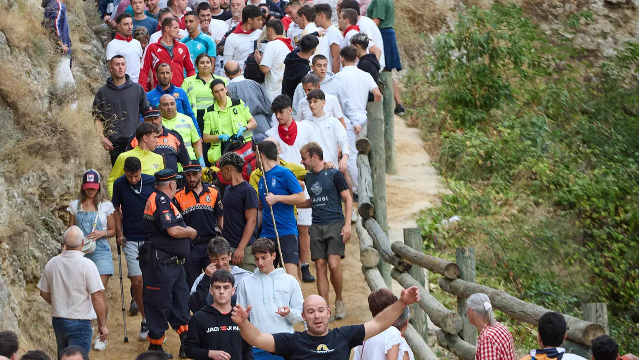 Tercer encierro del Pilón en las fiestas de Falces de 2025 con vacas de la ganadería de Teodoro Vergara de Falces. IÑIGO ALZUGARAY