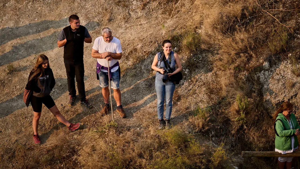 Cuarto encierro del Pilón en las fiestas de Falces de 2025 con vacas de la ganadería de Alba Reta de Grocin.
PABLO LASAOSA