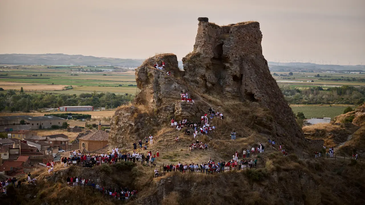 Cuarto encierro del Pilón en las fiestas de Falces de 2025 con vacas de la ganadería de Alba Reta de Grocin.
PABLO LASAOSA