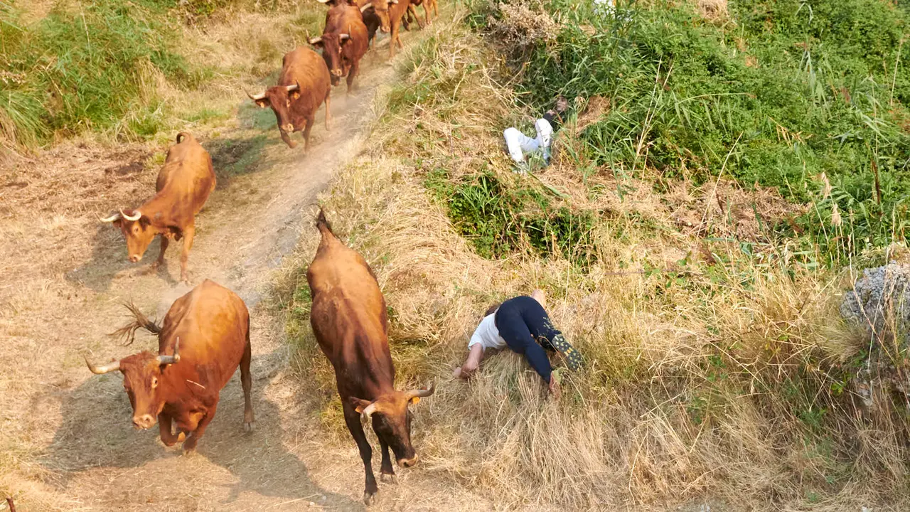 Cuarto encierro del Pilón de Falces con vacas de la ganadería Reta. IRANZU LARRASOAÑA