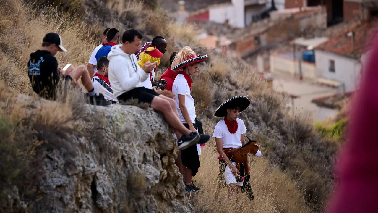 Quinto encierro del Pilón en las fiestas de Falces de 2025 con vacas de la ganadería de Eulogio Mateo de Cárcar.
PABLO LASAOSA