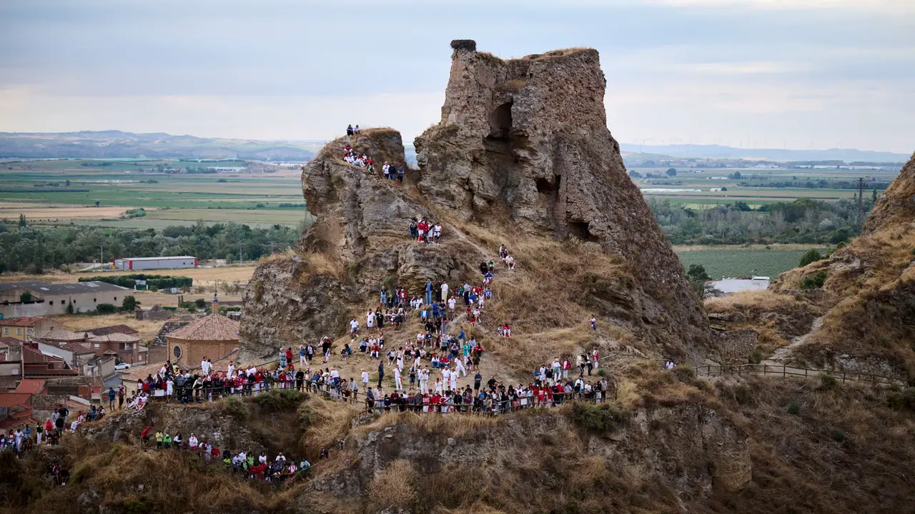 Quinto encierro del Pilón en las fiestas de Falces de 2025 con vacas de la ganadería de Eulogio Mateo de Cárcar.
PABLO LASAOSA
