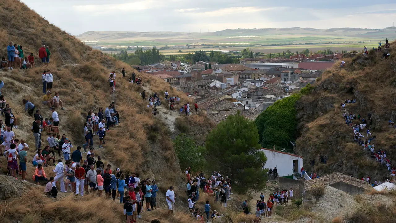 Quinto encierro del Pilón de Falces con vacas de Eulogio Mateo. IRANZU LARRASOAÑA