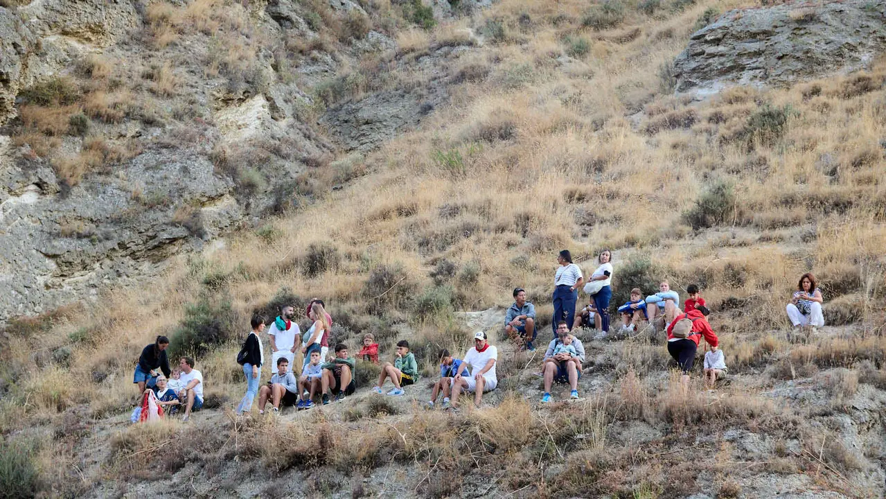 Quinto encierro del Pilón en las fiestas de Falces de 2025 con vacas de la ganadería de Eulogio Mateo de Cárcar. IÑIGO ALZUGARAY