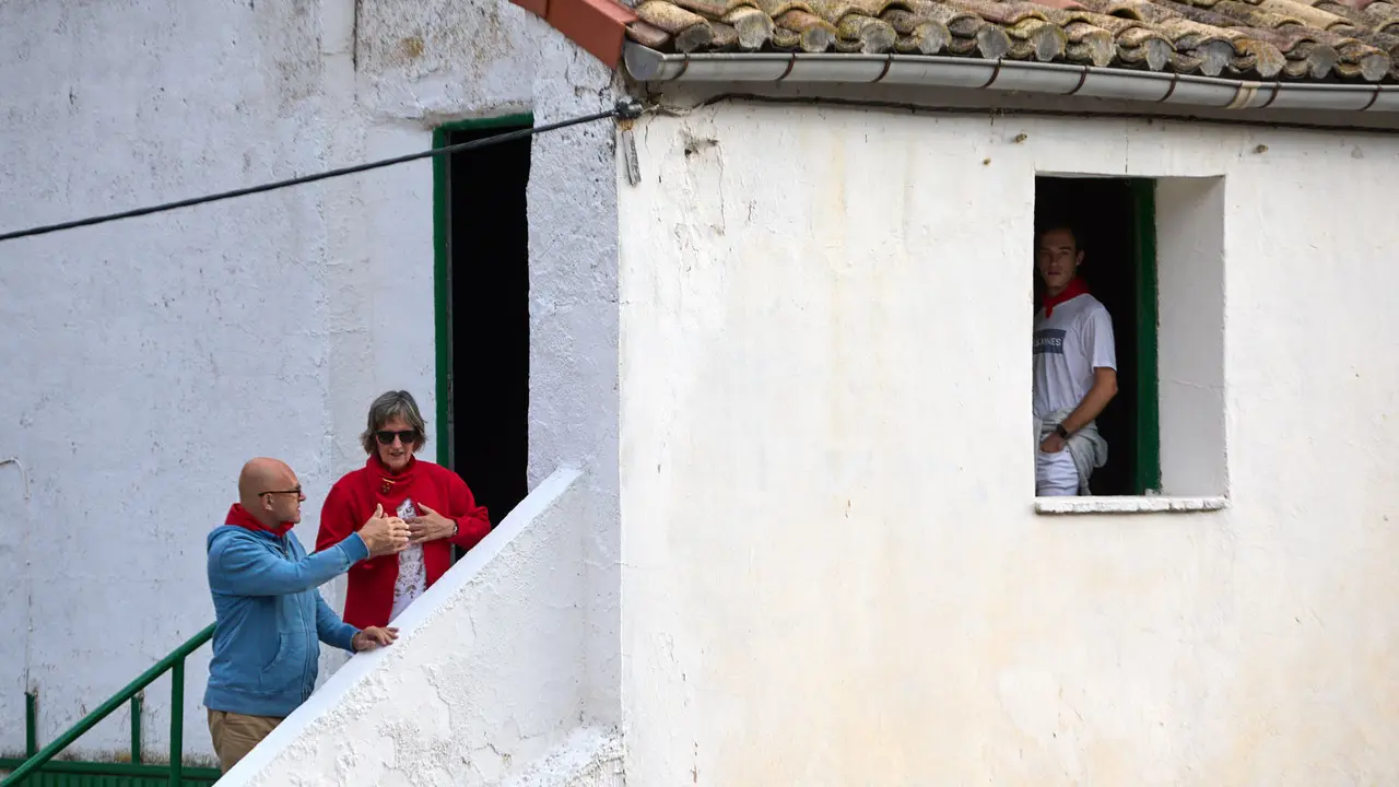 Quinto encierro del Pilón en las fiestas de Falces de 2025 con vacas de la ganadería de Eulogio Mateo de Cárcar. IÑIGO ALZUGARAY