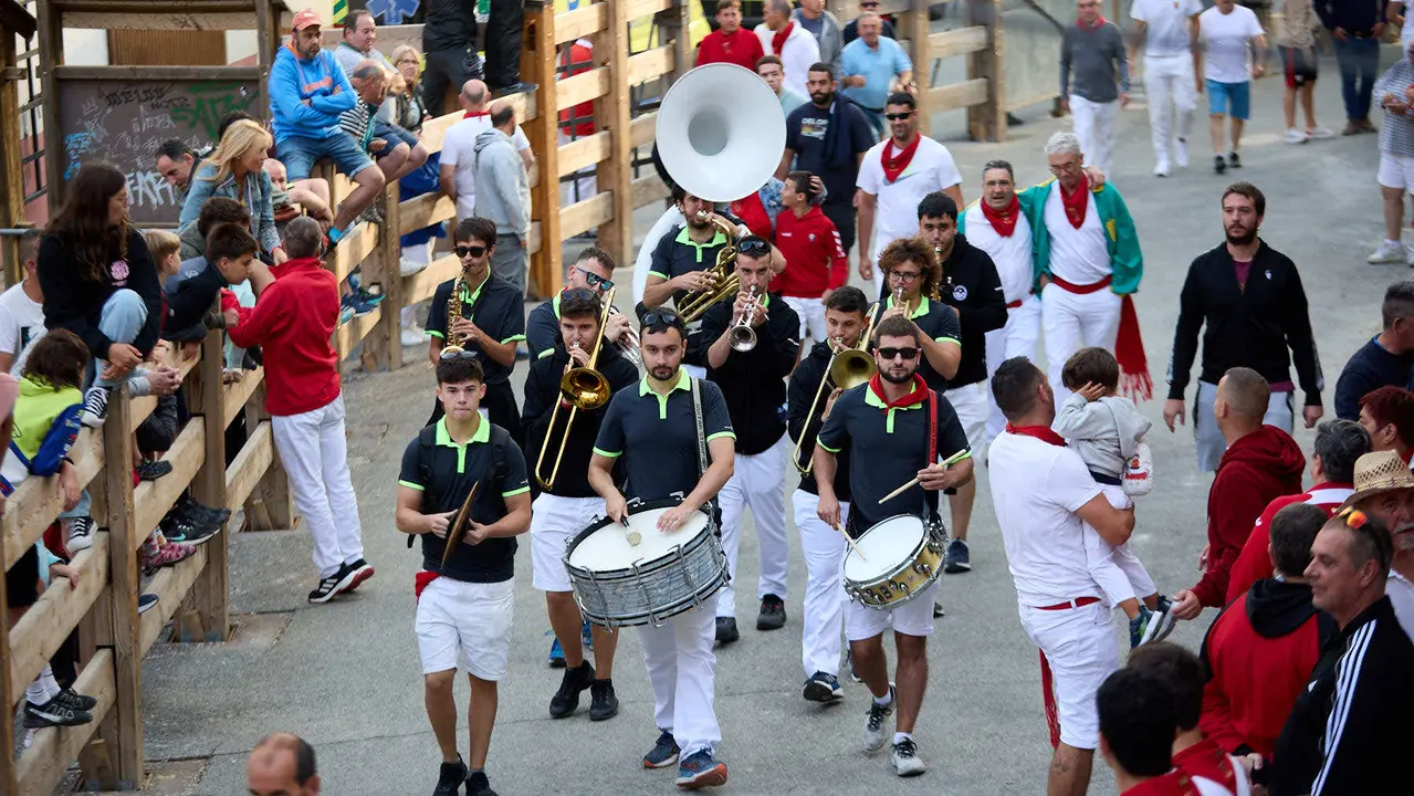 Quinto encierro del Pilón en las fiestas de Falces de 2025 con vacas de la ganadería de Eulogio Mateo de Cárcar. IÑIGO ALZUGARAY