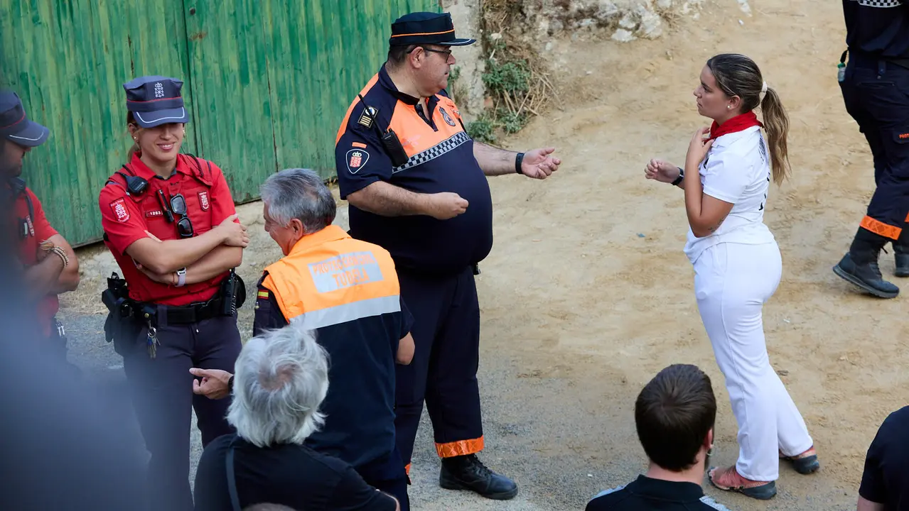 Quinto encierro del Pilón en las fiestas de Falces de 2025 con vacas de la ganadería de Eulogio Mateo de Cárcar. IÑIGO ALZUGARAY