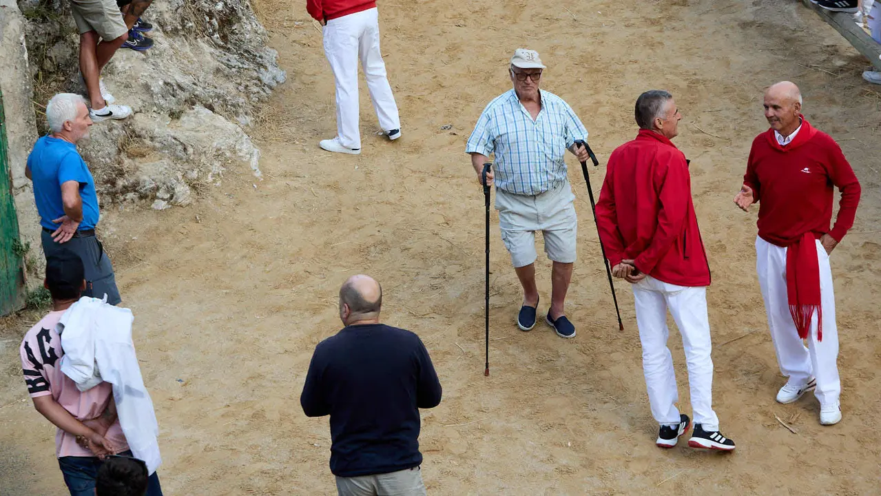Quinto encierro del Pilón en las fiestas de Falces de 2025 con vacas de la ganadería de Eulogio Mateo de Cárcar. IÑIGO ALZUGARAY