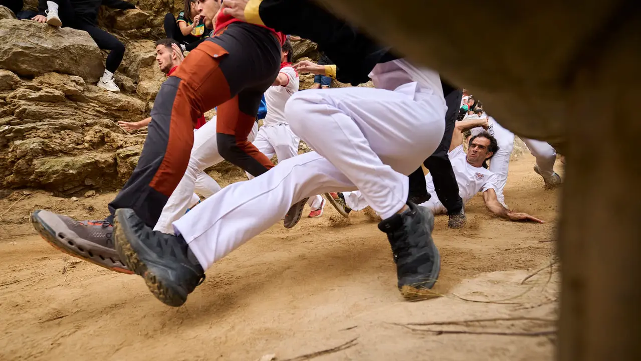 Sexto encierro del Pilón en las fiestas de Falces de 2025 con vacas de la ganadería de Hípica Zahorí de Falces. PABLO LASAOSA