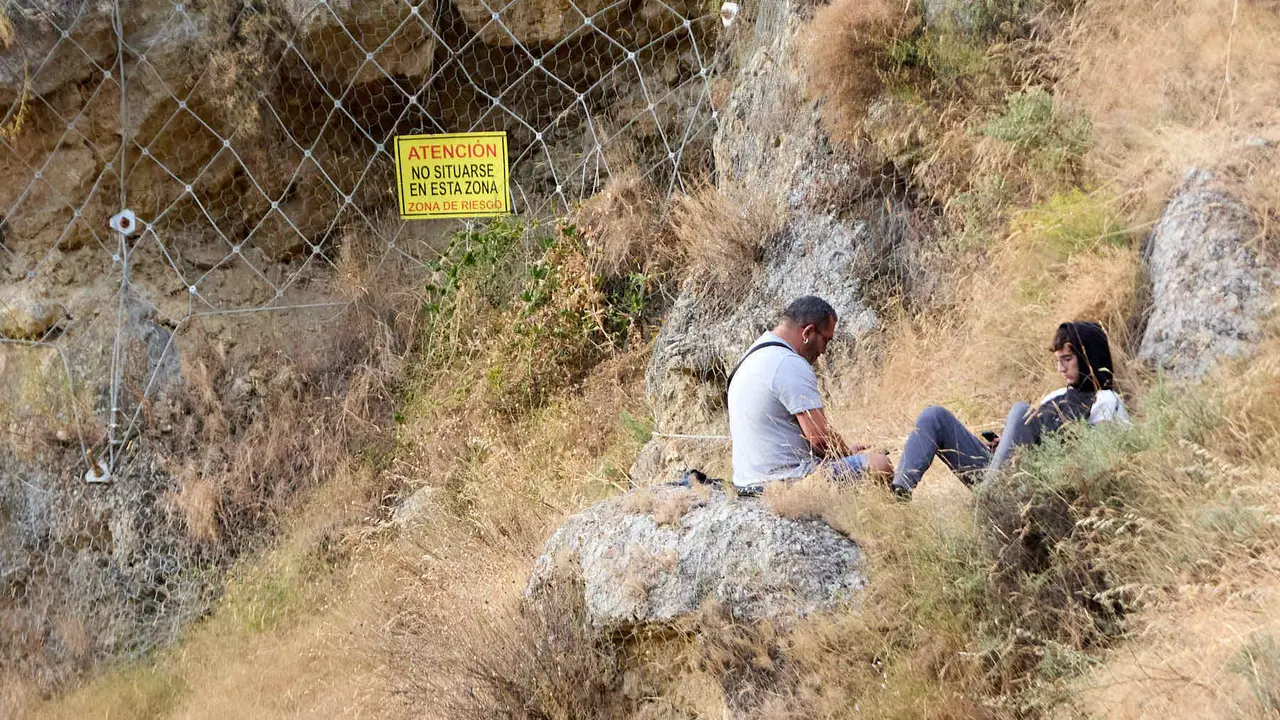Sexto encierro del Pilón en las fiestas de Falces de 2025 con vacas de la ganadería de Hípica Zahorí de Falces. IÑIGO ALZUGARAY