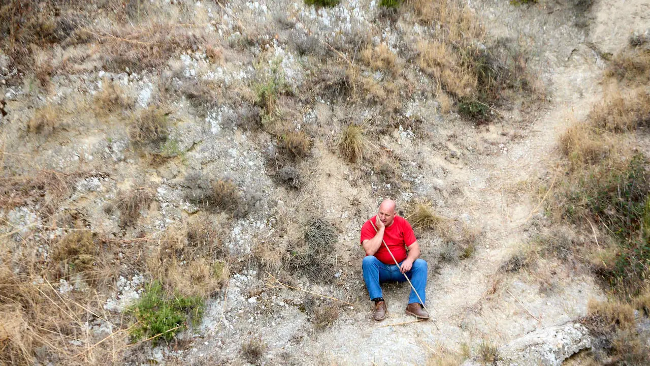 Sexto encierro del Pilón en las fiestas de Falces de 2025 con vacas de la ganadería de Hípica Zahorí de Falces. IÑIGO ALZUGARAY
