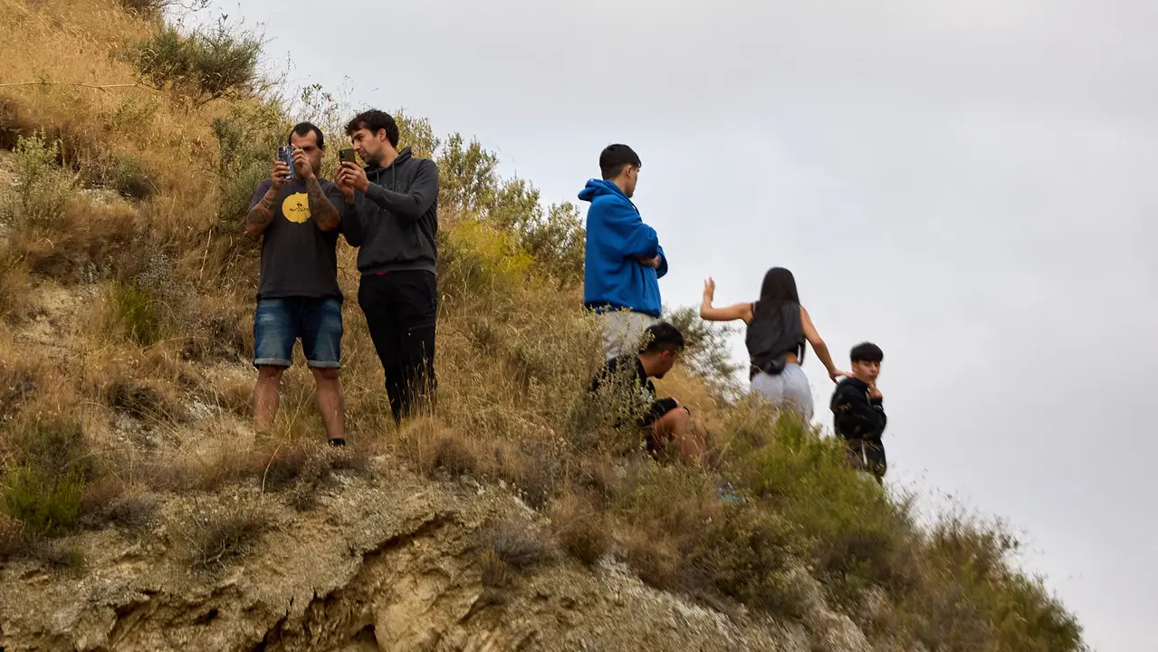 Sexto encierro del Pilón en las fiestas de Falces de 2025 con vacas de la ganadería de Hípica Zahorí de Falces. IÑIGO ALZUGARAY