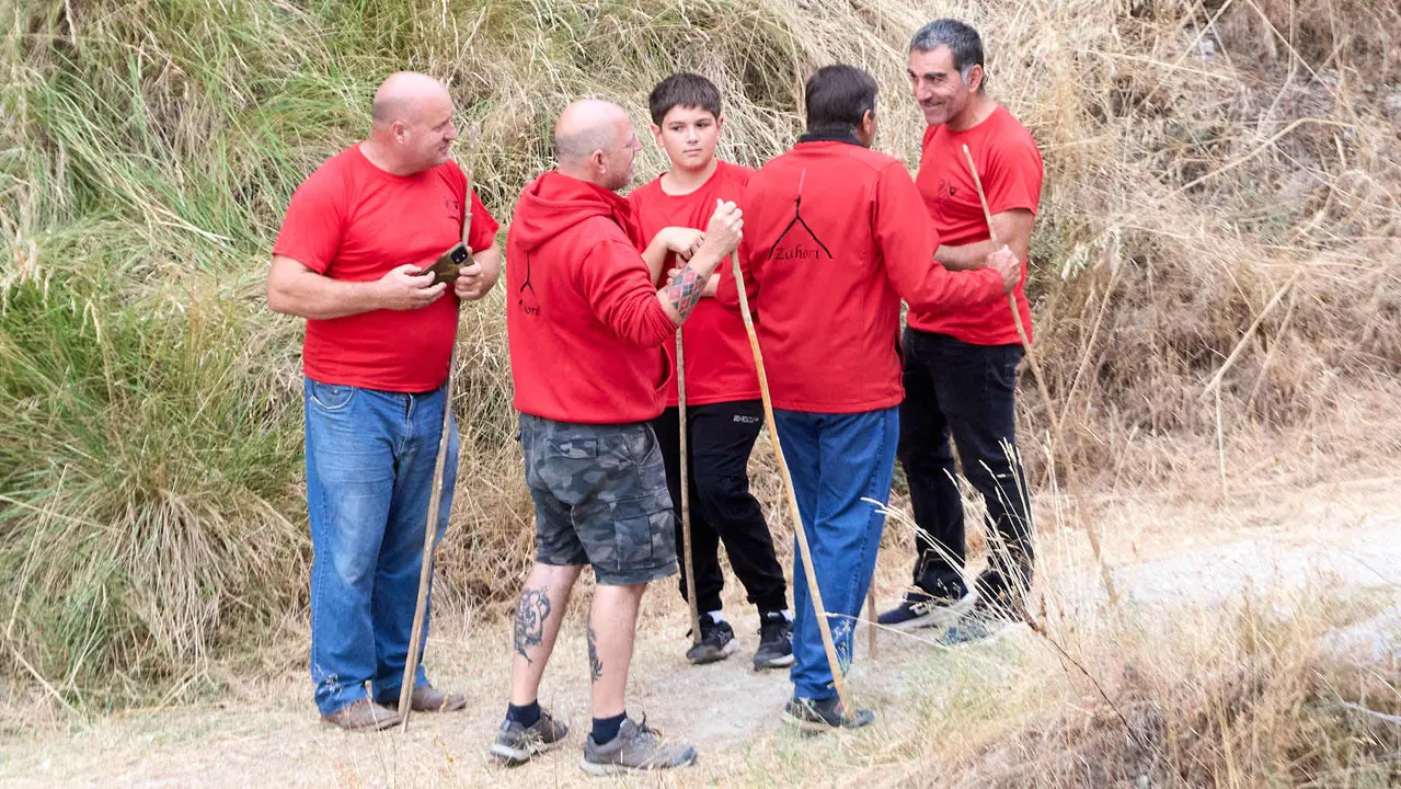 Sexto encierro del Pilón en las fiestas de Falces de 2025 con vacas de la ganadería de Hípica Zahorí de Falces. IÑIGO ALZUGARAY