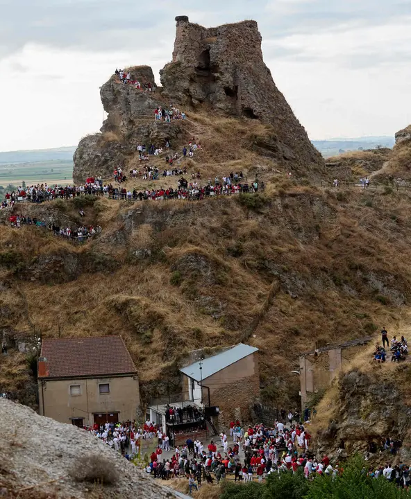 Sexto encierro del Pilón en las fiestas de Falces de 2025 con vacas de la ganadería de Hípica Zahorí de Falces. IÑIGO ALZUGARAY