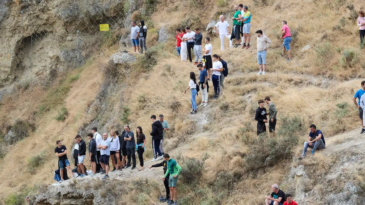 Sexto encierro del Pilón en las fiestas de Falces de 2025 con vacas de la ganadería de Hípica Zahorí de Falces. IÑIGO ALZUGARAY
