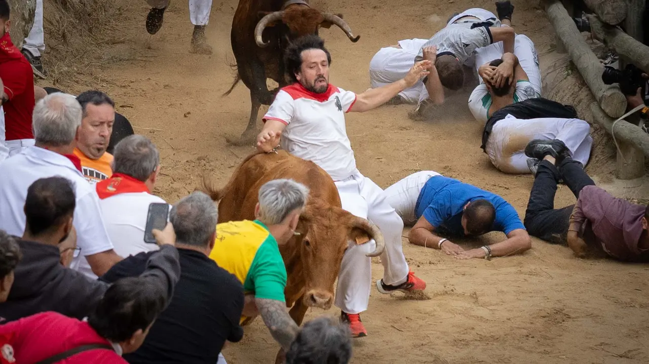 Sexto encierro del Pilón con vacas de la ganadería Hípica Zahorí de Falces. Maite H. Mateo..-17
