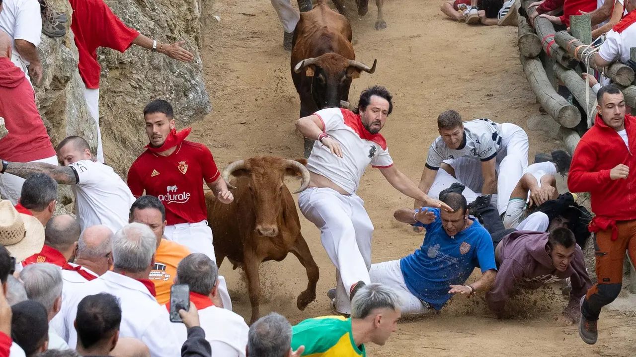 Sexto encierro del Pilón con vacas de la ganadería Hípica Zahorí de Falces. Maite H. Mateo..-19
