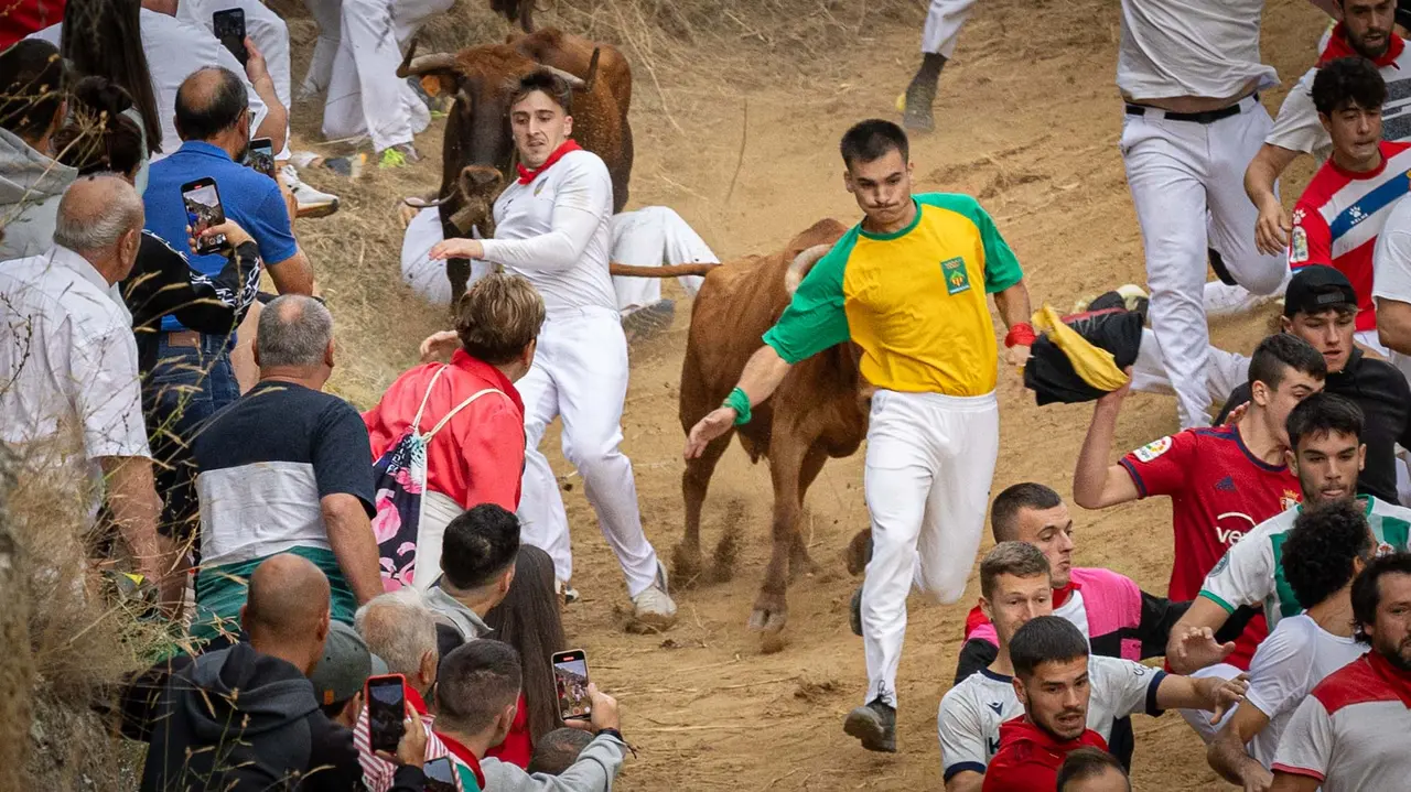 Sexto encierro del Pilón con vacas de la ganadería Hípica Zahorí de Falces. Maite H. Mateo..-27
