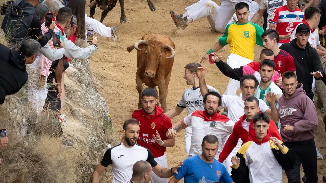 Sexto encierro del Pilón con vacas de la ganadería Hípica Zahorí de Falces. Maite H. Mateo..-25