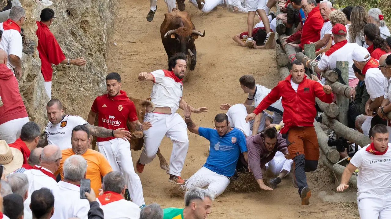 Sexto encierro del Pilón con vacas de la ganadería Hípica Zahorí de Falces. Maite H. Mateo..-20