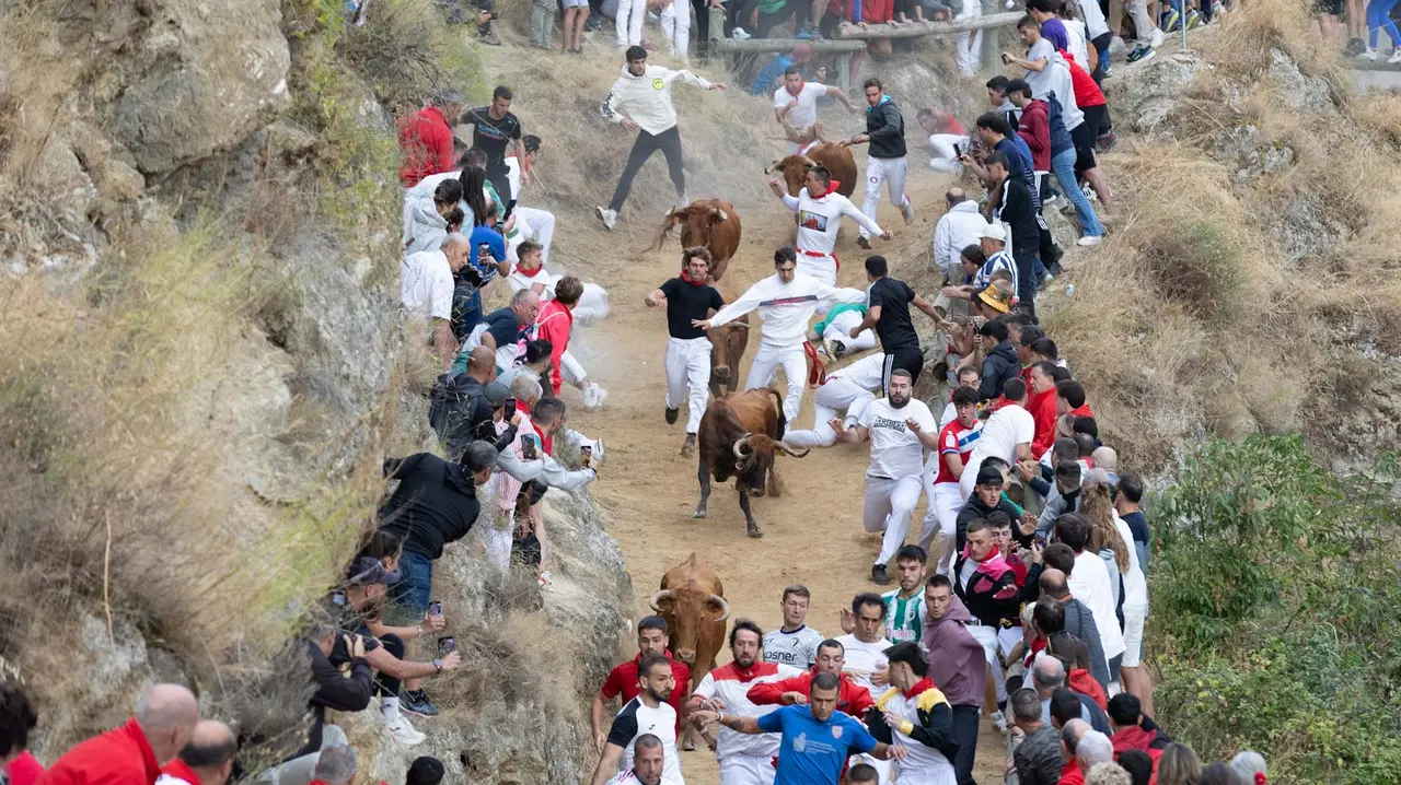 Sexto encierro del Pilón con vacas de la ganadería Hípica Zahorí de Falces. Maite H. Mateo..-23