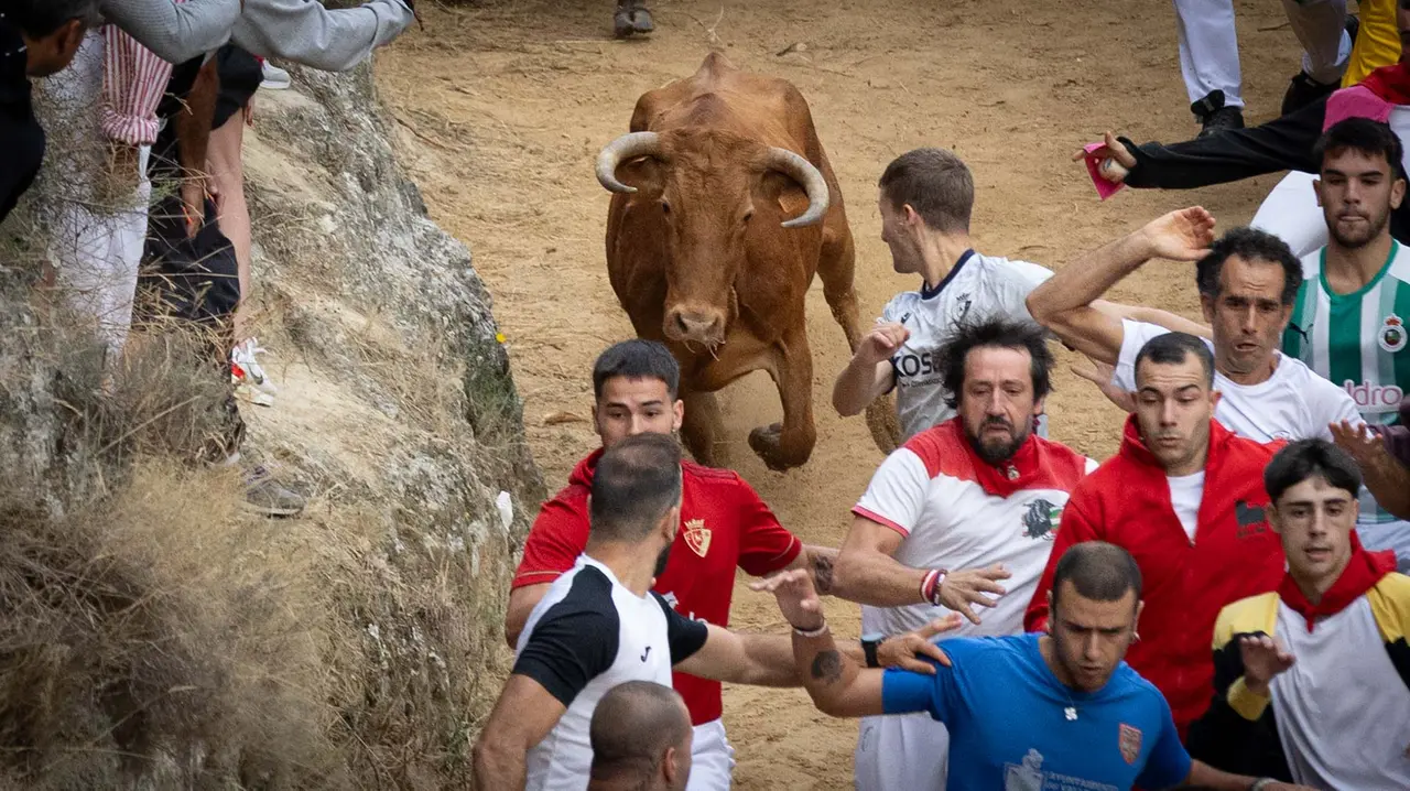 Sexto encierro del Pilón con vacas de la ganadería Hípica Zahorí de Falces. Maite H. Mateo..-24