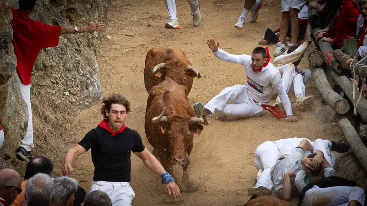 Sexto encierro del Pilón con vacas de la ganadería Hípica Zahorí de Falces. Maite H. Mateo..-15