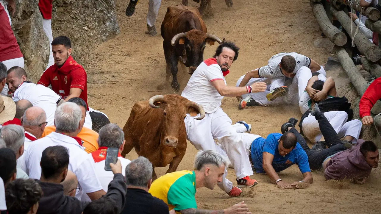 Sexto encierro del Pilón con vacas de la ganadería Hípica Zahorí de Falces. Maite H. Mateo..-18