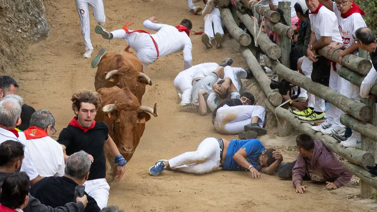 Sexto encierro del Pilón con vacas de la ganadería Hípica Zahorí de Falces. Maite H. Mateo..-13