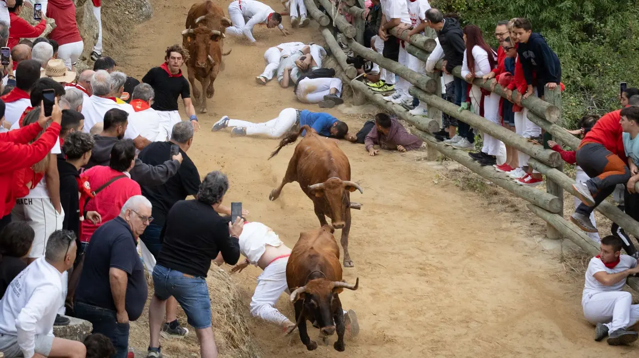 Sexto encierro del Pilón con vacas de la ganadería Hípica Zahorí de Falces. Maite H. Mateo..-14