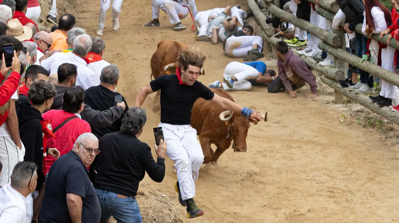 Sexto encierro del Pilón con vacas de la ganadería Hípica Zahorí de Falces. Maite H. Mateo..-12
