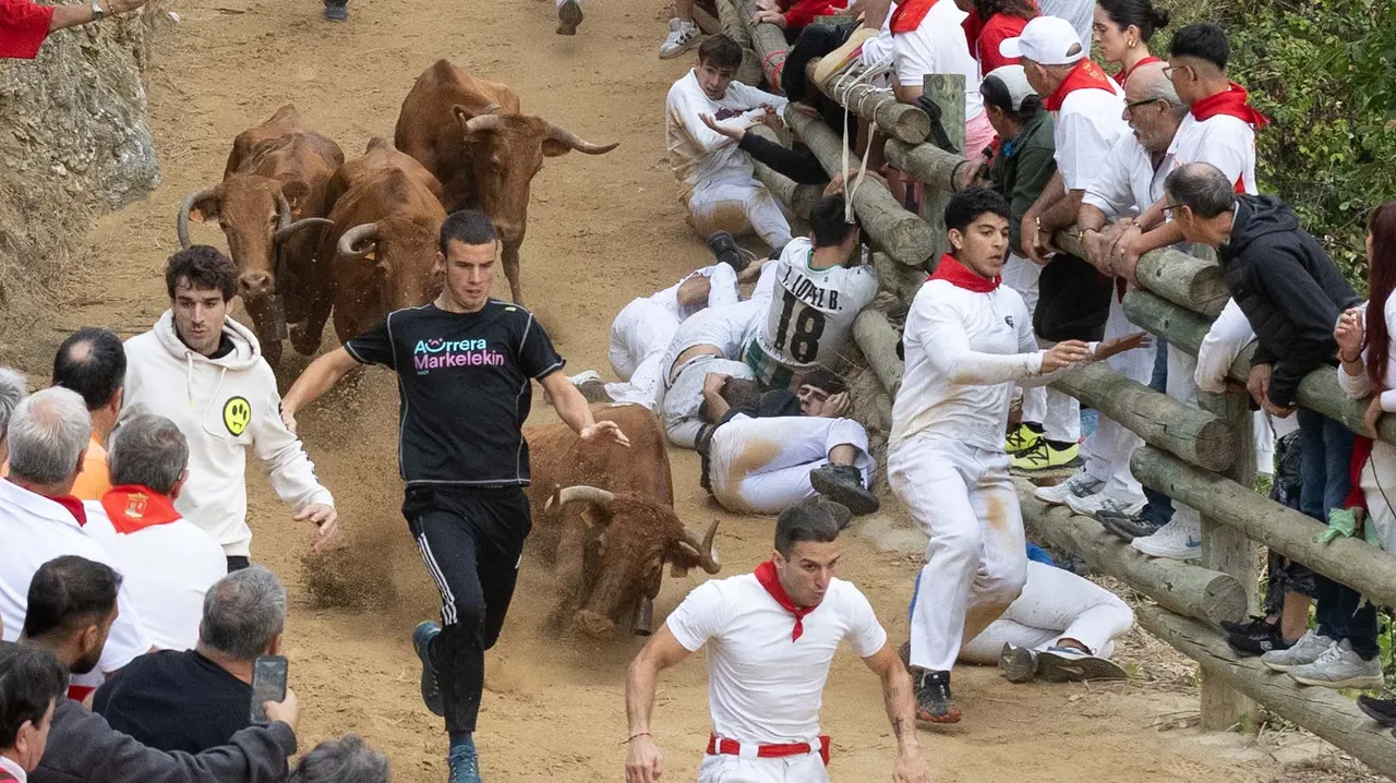 Sexto encierro del Pilón con vacas de la ganadería Hípica Zahorí de Falces. Maite H. Mateo..-07