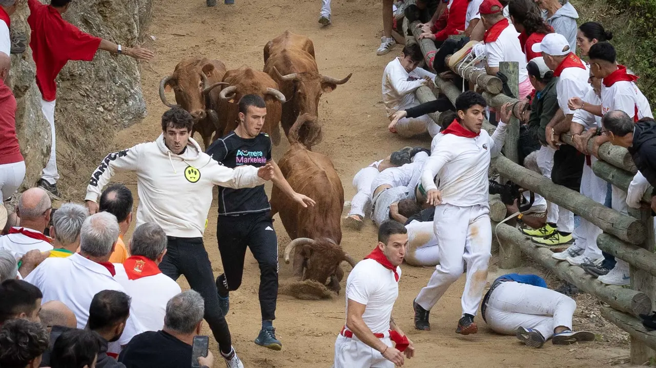 Sexto encierro del Pilón con vacas de la ganadería Hípica Zahorí de Falces. Maite H. Mateo..-08