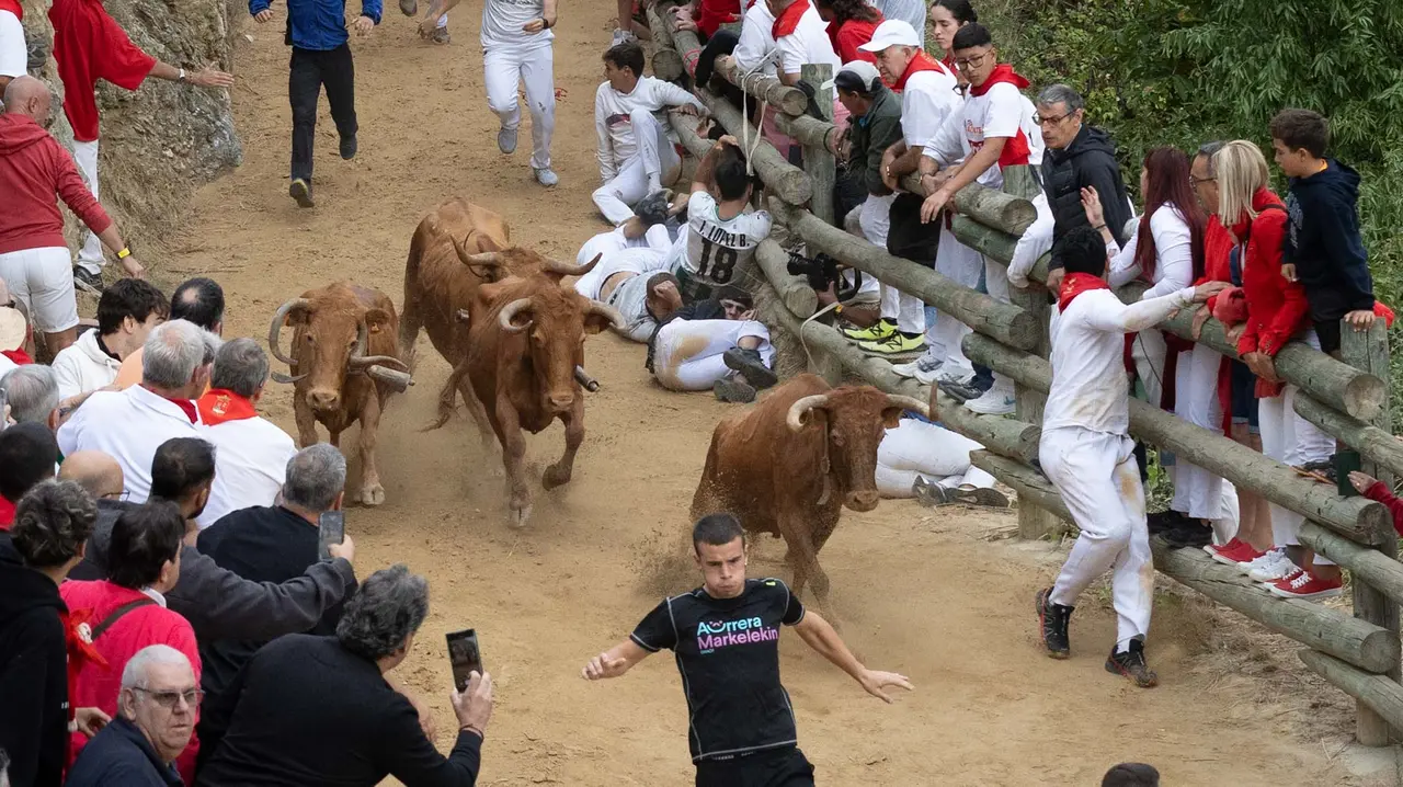 Sexto encierro del Pilón con vacas de la ganadería Hípica Zahorí de Falces. Maite H. Mateo..-06