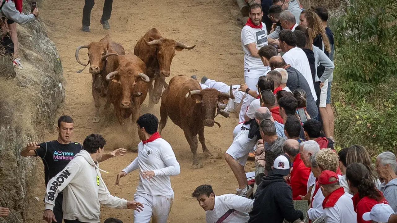 Sexto encierro del Pilón con vacas de la ganadería Hípica Zahorí de Falces. Maite H. Mateo..-10