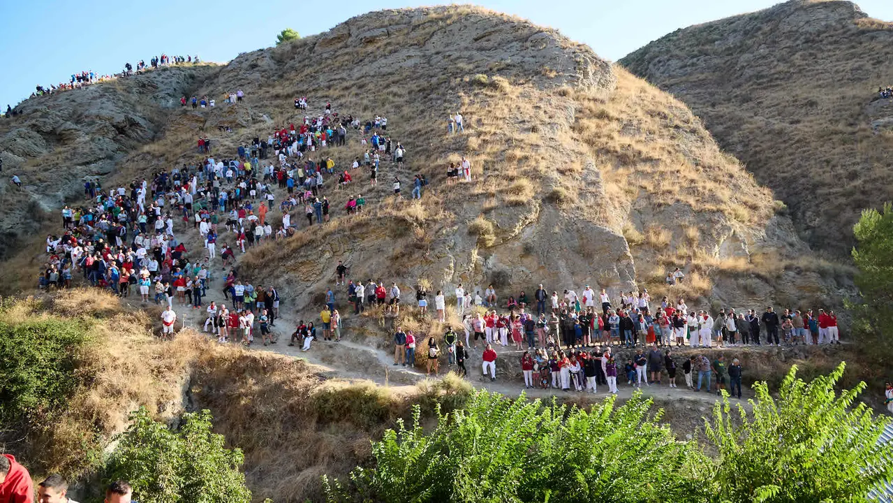 Séptimo encierro del Pilón en las fiestas de Falces de 2025 con vacas de la ganadería de Juan José Laparte de Marcilla. IÑIGO ALZUGARAY