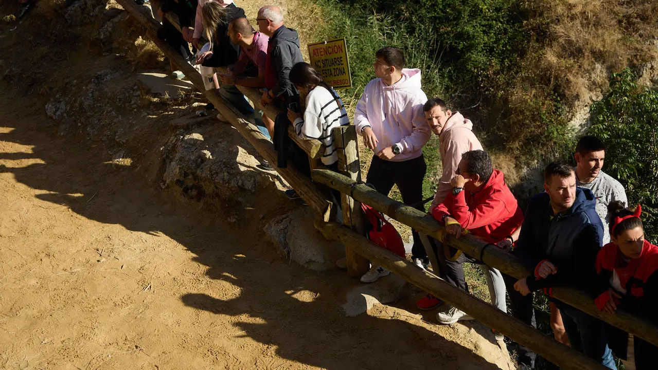 Séptimo encierro del Pilón en las fiestas de Falces de 2025 con vacas de la ganadería de Juan José Laparte de Marcilla. IÑIGO ALZUGARAY