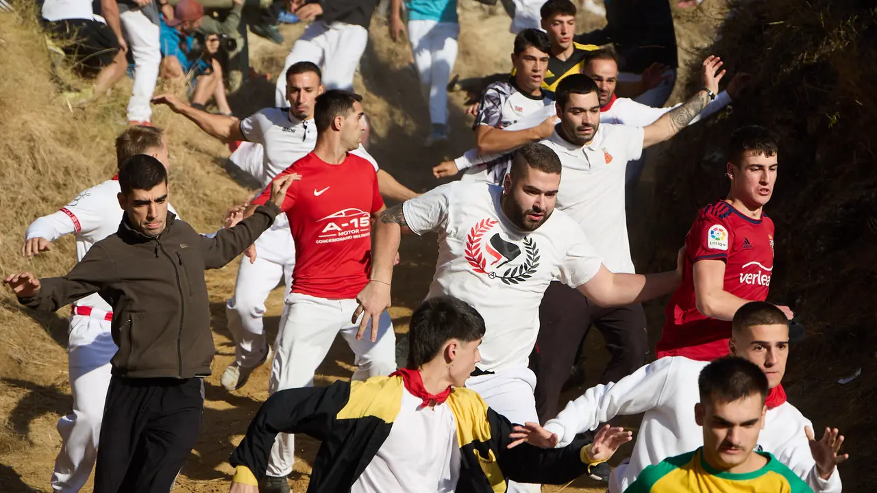 Séptimo encierro del Pilón en las fiestas de Falces de 2025 con vacas de la ganadería de Juan José Laparte de Marcilla. IÑIGO ALZUGARAY
