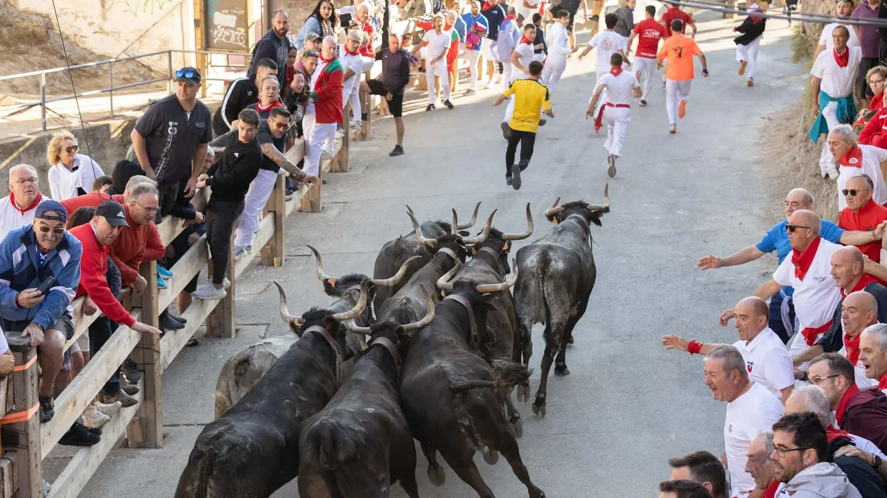 Séptimo encierro del Pilón con vacas de la ganadería Juan José Laparte. Maite H. Mateo..-04