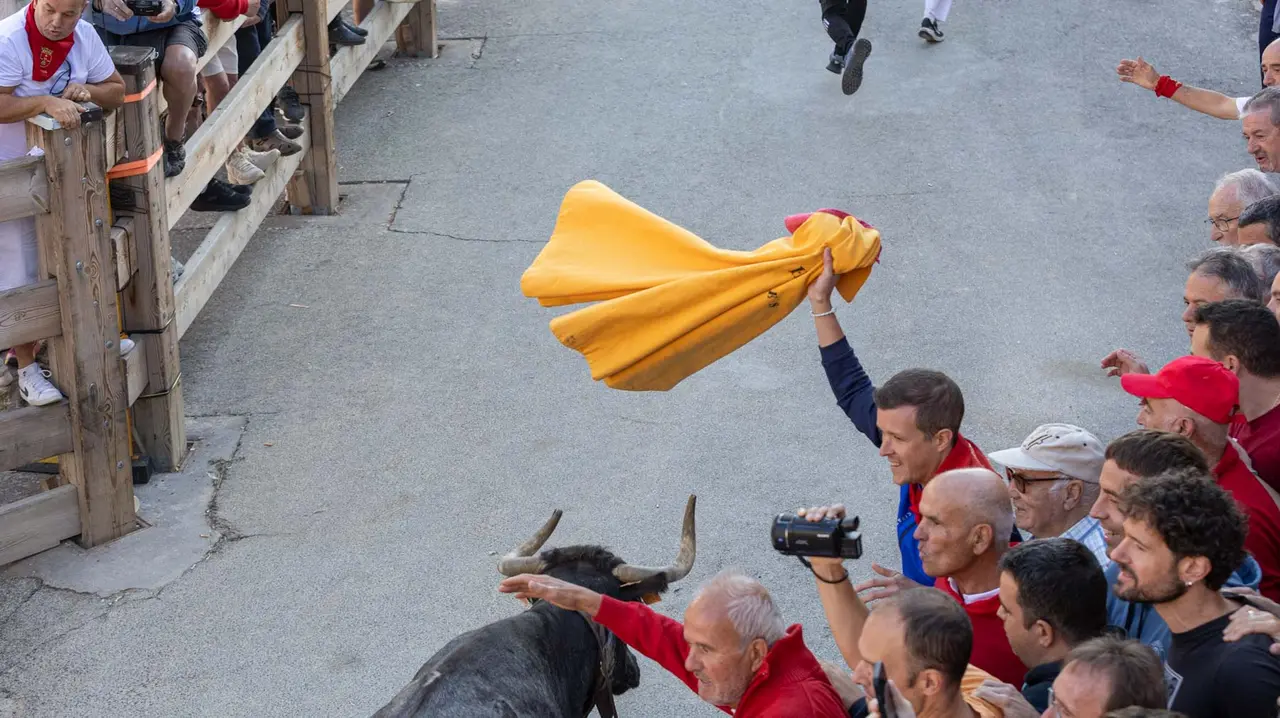 Séptimo encierro del Pilón con vacas de la ganadería Juan José Laparte. Maite H. Mateo..-06