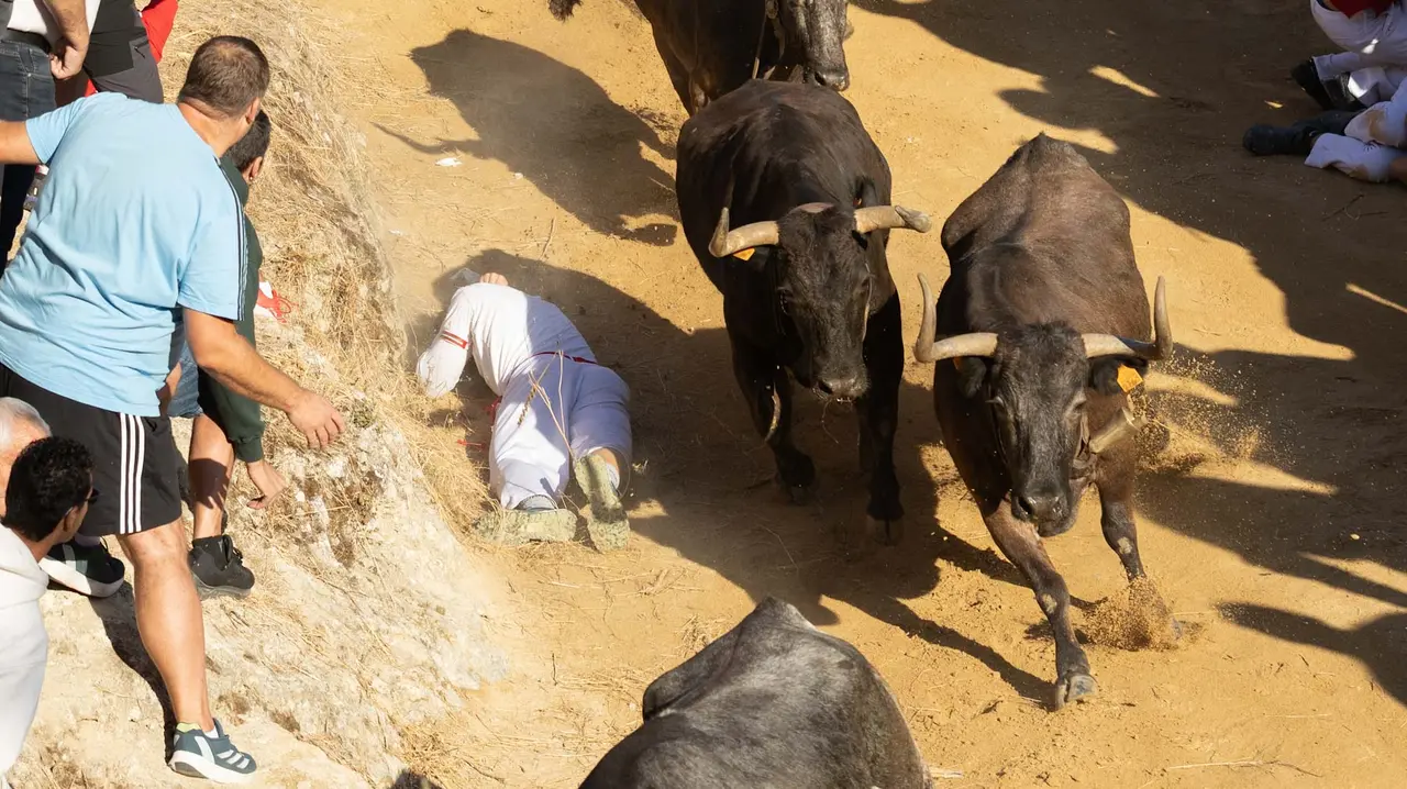 Séptimo encierro del Pilón con vacas de la ganadería Juan José Laparte. Maite H. Mateo..-12