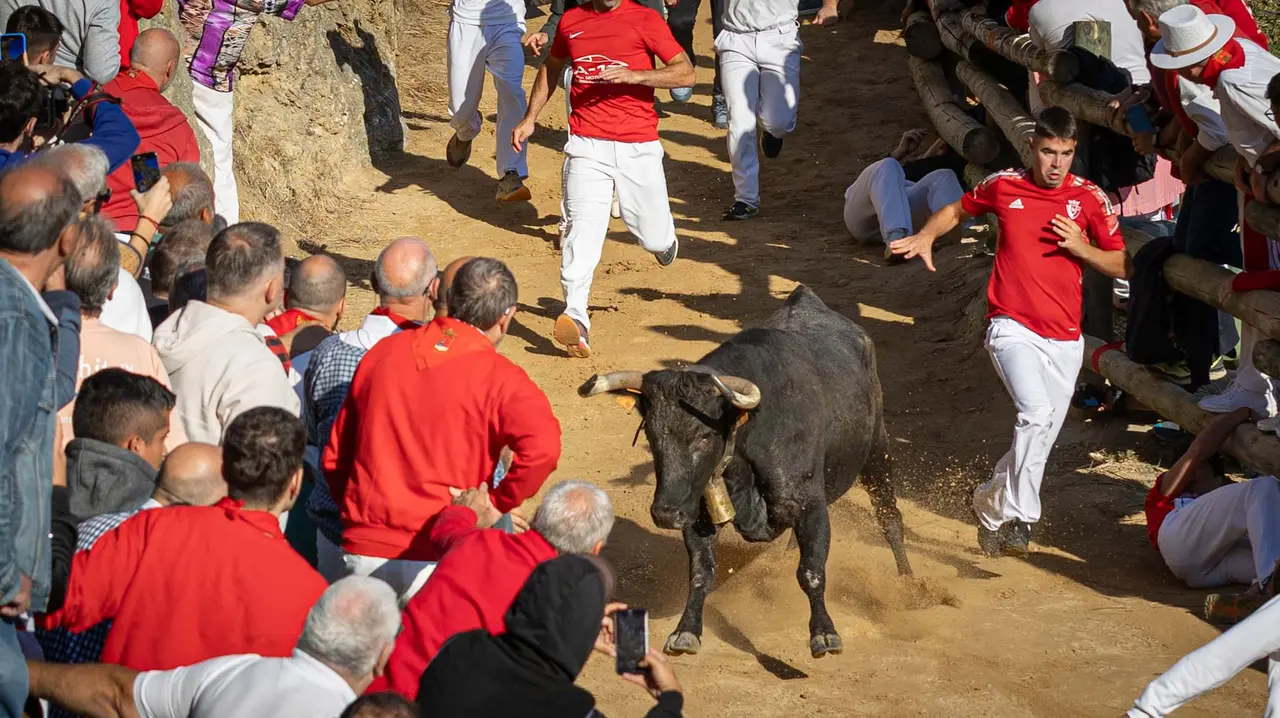 Séptimo encierro del Pilón con vacas de la ganadería Juan José Laparte. Maite H. Mateo..-22