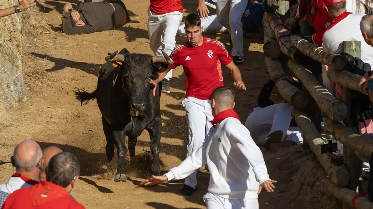 Séptimo encierro del Pilón con vacas de la ganadería Juan José Laparte. Maite H. Mateo..-24