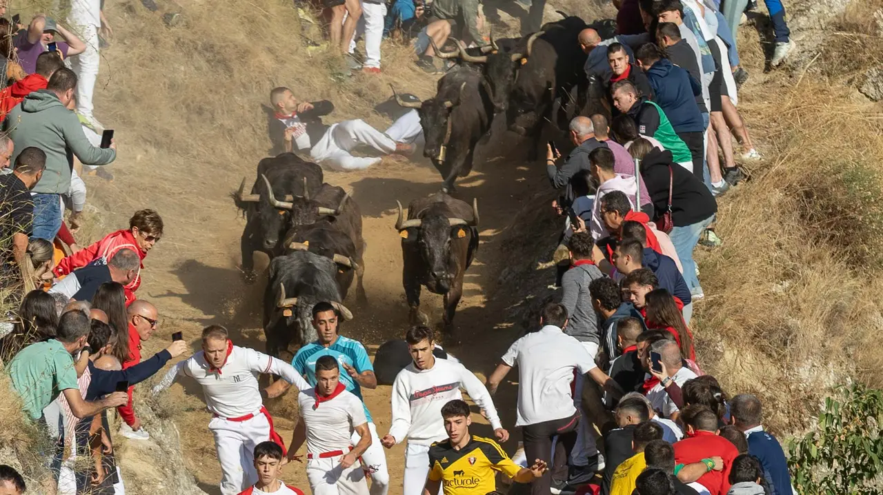 Séptimo encierro del Pilón con vacas de la ganadería Juan José Laparte. Maite H. Mateo..-25