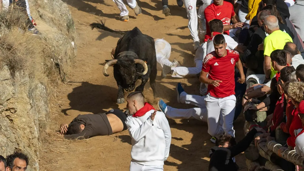 Séptimo encierro del Pilón con vacas de la ganadería Juan José Laparte. Maite H. Mateo..-28